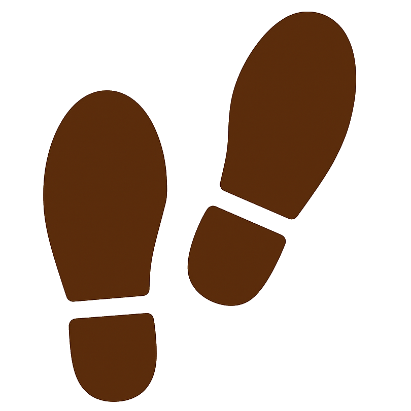 STEP